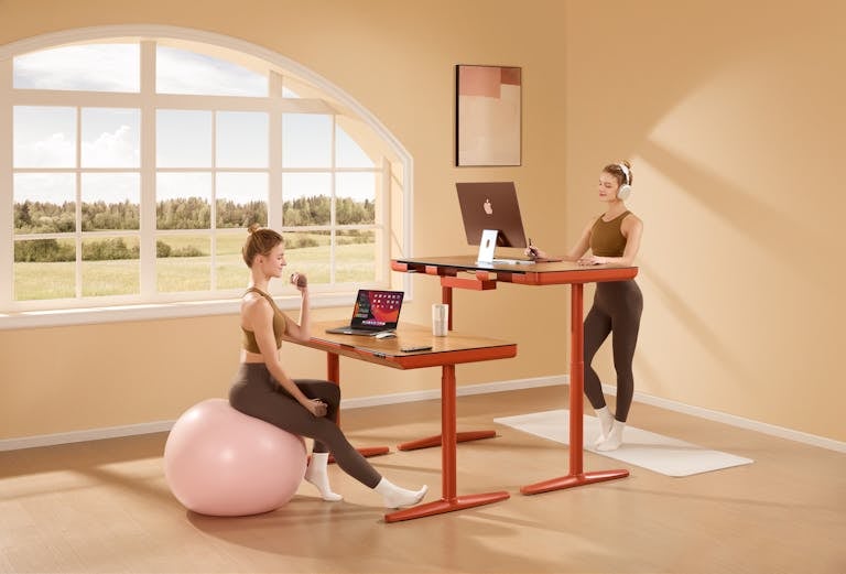 A stylish home office setup with adjustable desks, yoga ball seating, and a serene view.
